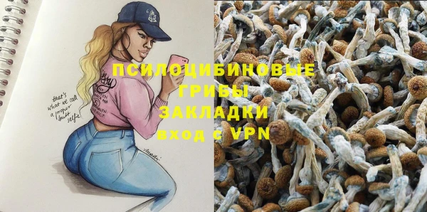 индика Балабаново