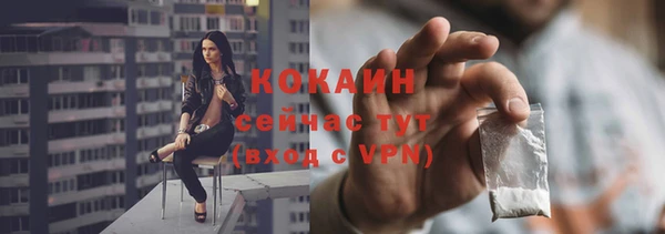 индика Балабаново