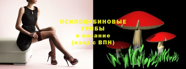 индика Балабаново