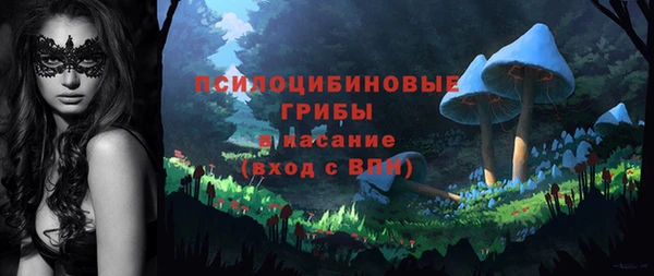 mdpv Переславль-Залесский