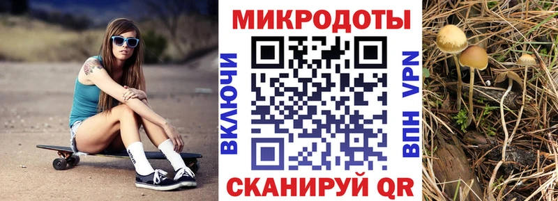 даркнет сайт  Красноуральск  Псилоцибиновые грибы MAGIC MUSHROOMS 